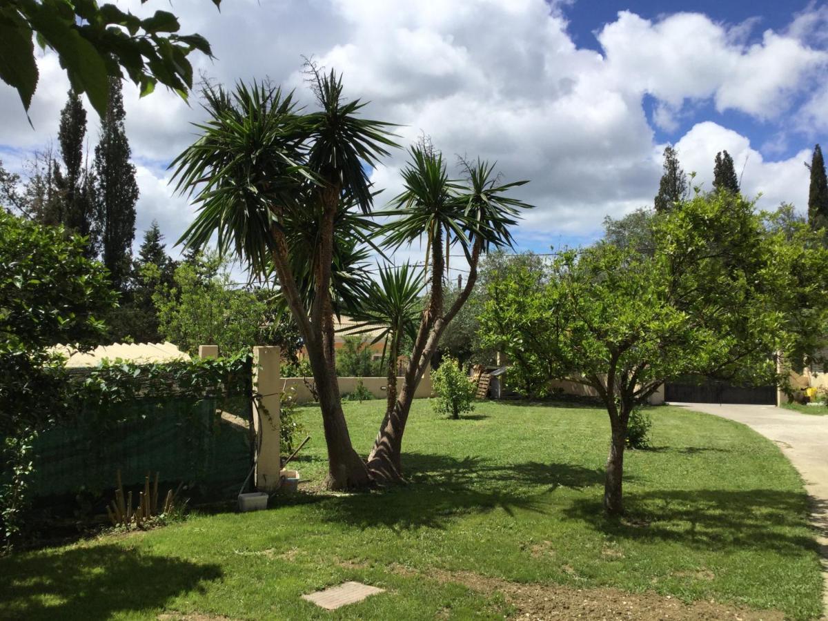 Casa Evi Corfu 1 Daire Potamós Dış mekan fotoğraf